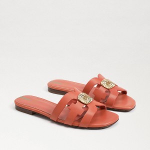 Sandalias Sam Edelman Bay Radiant Chanclas Mujer Rosas | ESJBT84195