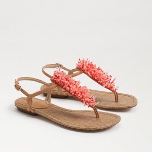 Sandalias Sam Edelman Brinda Tanga Mujer Natural Sand | ESZPD20374