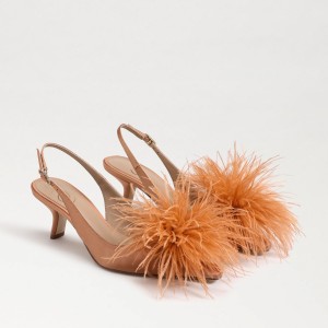 Tacones Sam Edelman Bianka Feather Destalonadas Pump Mujer Warm Blush | LESSX96738