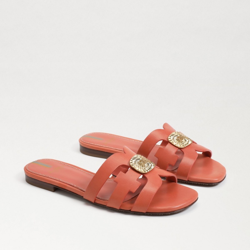 Sandalias Sam Edelman Bay Radiant Chanclas Mujer Rosas | ESJBT84195